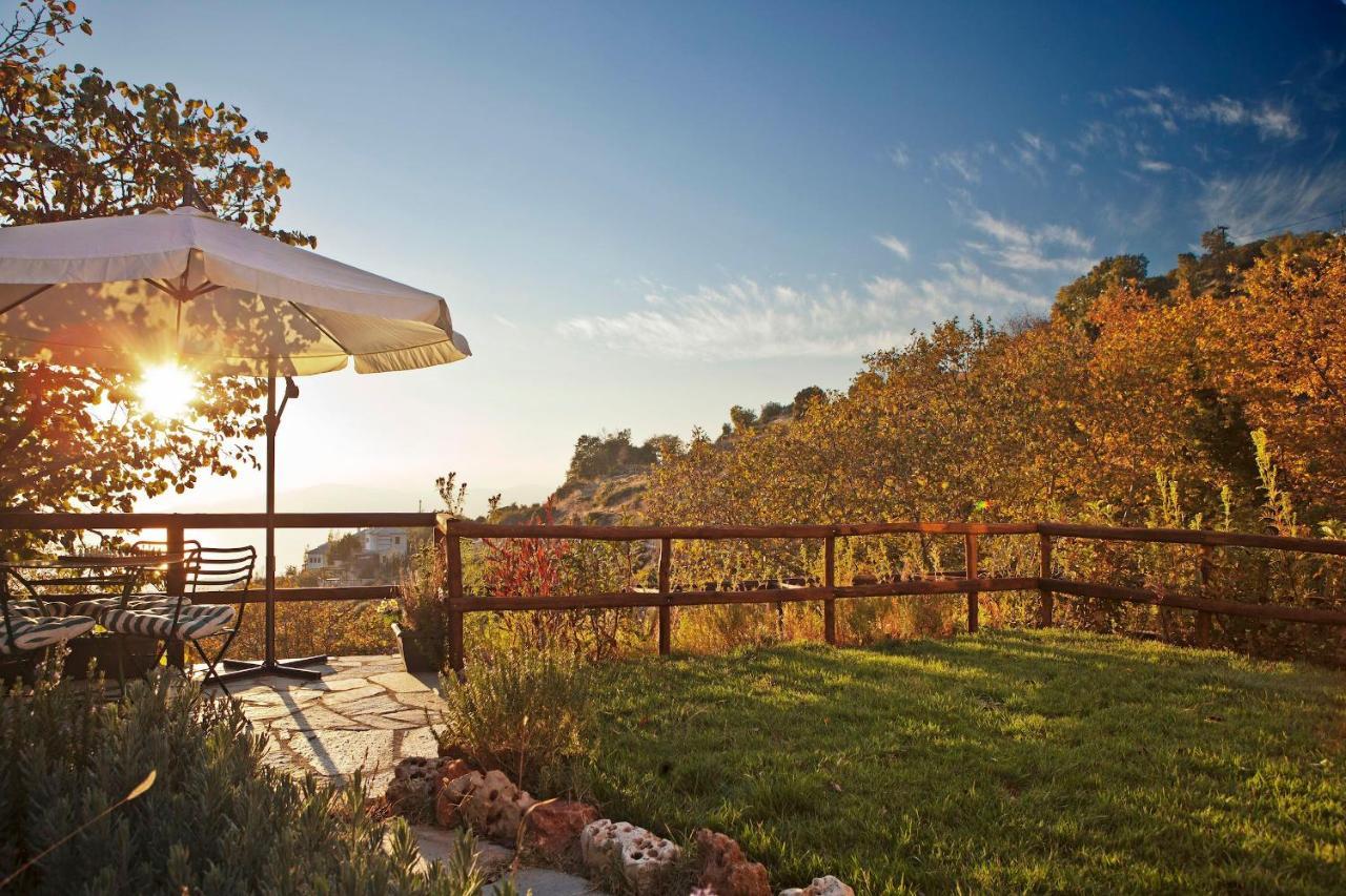 Pelion Homes Агиос-Георгиос-Нилиас Экстерьер фото